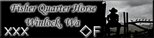 Fisher Quarter Horse