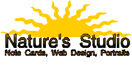 Nature's Studio