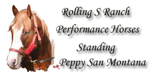 Performance Horses, Scott & Sandra Smith, Hemet, CA