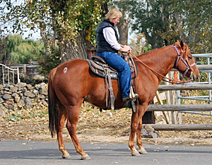 Sand Dunes Ranch