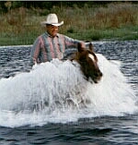 sand dunes ranch, horses