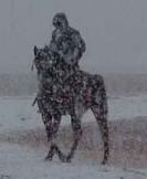 sand dunes ranch, horses