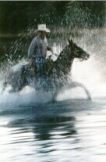 sand dunes ranch, horses