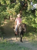 sand dunes ranch, horses