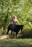 sand dunes ranch, horses