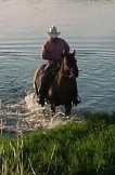 sand dunes ranch, horses