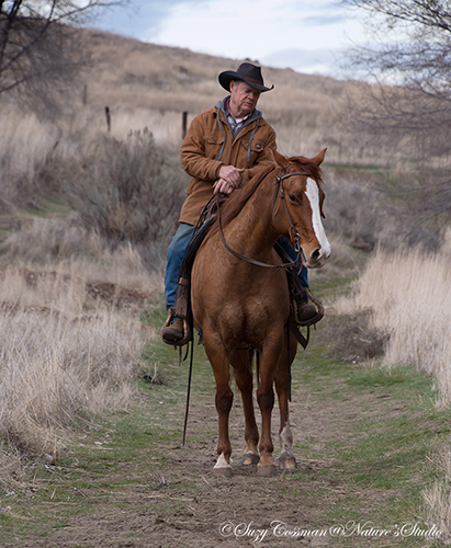 Congrats to Teri Anderson on the purchase of Lenas Freckle Chip
