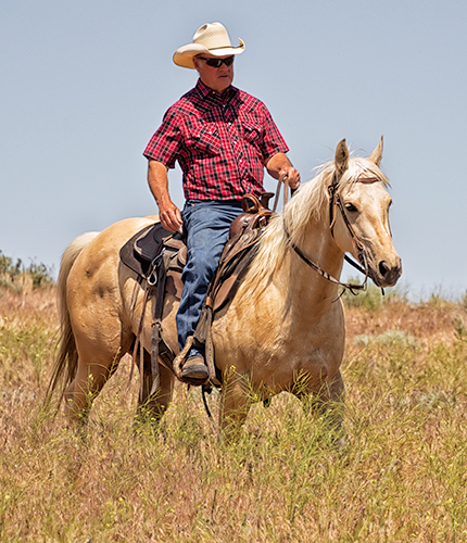 Congrats Phyllis White! Enjoy the ride!!